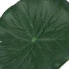 5 Pcs Artificial Simulation   Leaves  ing Landscaping Plants for Dance Props Aquarium Decoration