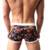 Men's Lace Sexy Underwear U Convex Transparent Appeal Underwear Boxer Shorts Europeanan Style