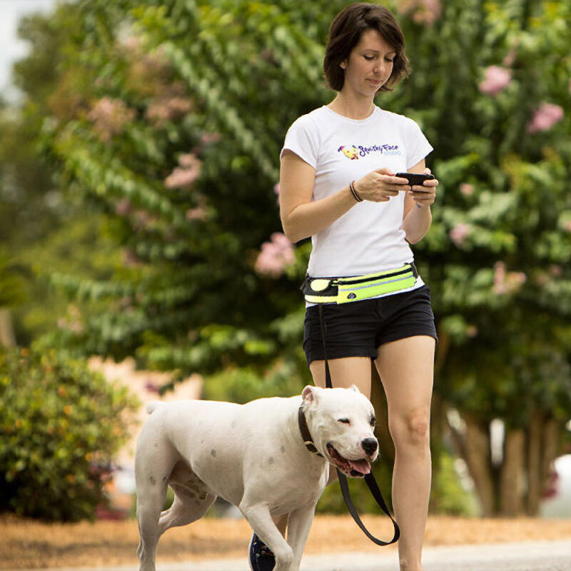 Running belt/leash for dog walking, harness, and dog outing Blue Running Belt for Dog Walking