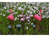 Large LED Solar Flamingo Lawn Light - Outdoor Decorative Animal Courtyard Accent