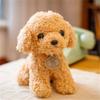 20/28CM Cute Teddy Dog Plush Toy Curly Dog Doll with Hanging Tag Simulation Dog To Send Children's Birthday Gift