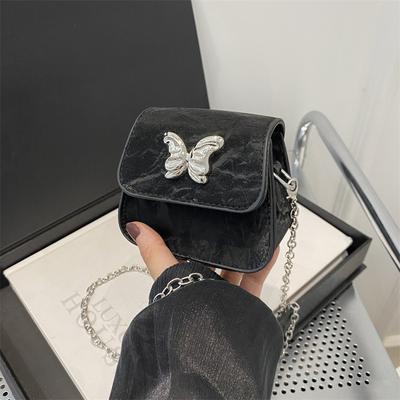 Mini Bag Butterfly Shoulder Bag Fashion Texture Chain Crossbody Bag Small Fresh Change Bag