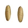 Cocoon Series White Brushed Striped Oval Stud Earrings: Women's 2025 Silver Needle Design