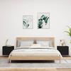 VidaXL Tables de Chevet Murales avec Lumières LED 2 pcs, Armoires de Nuit, Tables de Nuit Chambre, Moderne, Noir Bois 836815