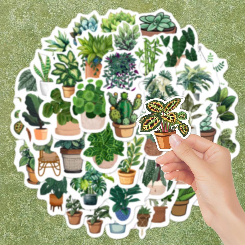 50 Pcs Green Plant Graffiti Stickers: Plant Decorations for Guitar, Notebook, Suitcase