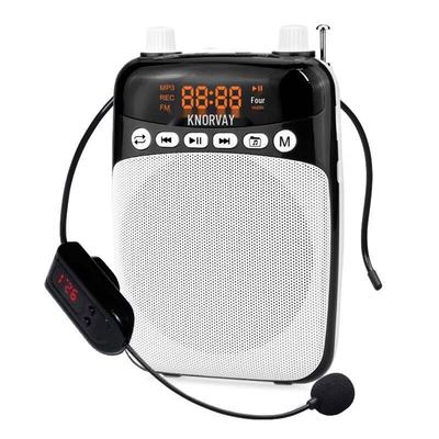 Portable Wireless Voice Amplifier for Teachers CN Plug (adapter Included)