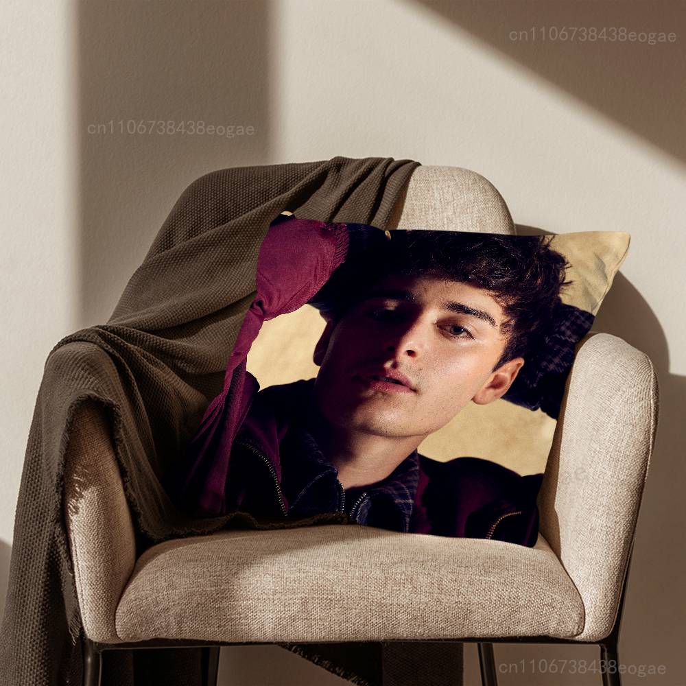 Actor N-Noah S-Schnapp Pillow Case Living Room Sofa Cushion Cover Suitable For Home Bedroom Decoration And Protector
