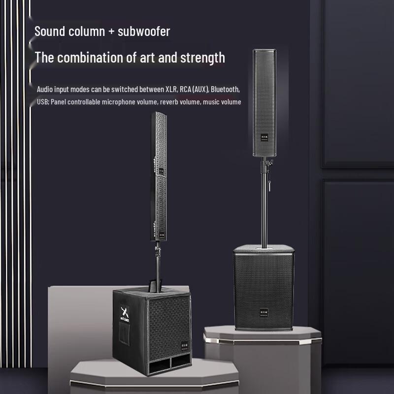 Xun Er Wei XER-DB15 Professional Active Line Array Speaker System (CN Version)