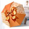 Accesorii – Umbrele