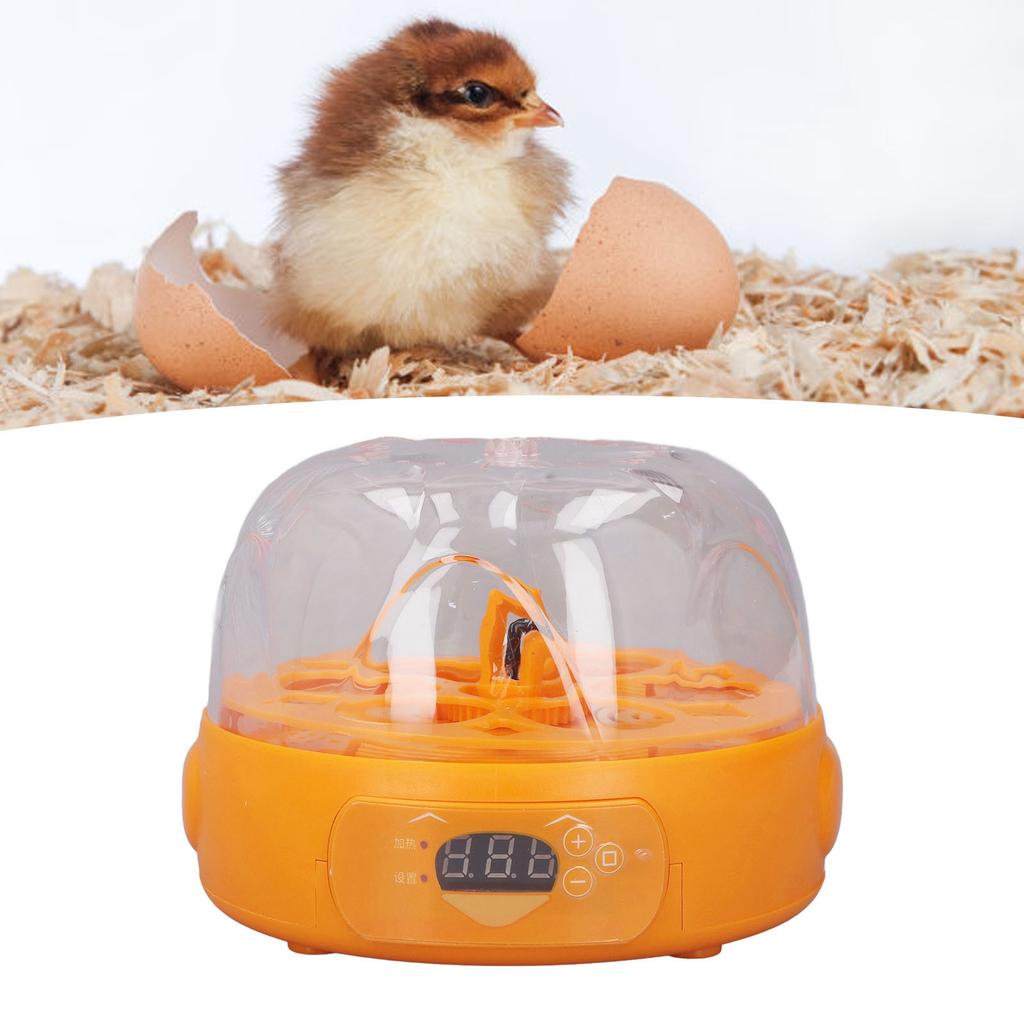 15W Egg Incubator 6 Eggs Digital Automatic Egg Incubator with Automatic Egg Turner for Hatching Chicken Quail Yellow