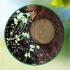 Premium Organic Potting Natural Soil Mix Food And Organic Coconut Coir Concentrate Seed Starting Mix
