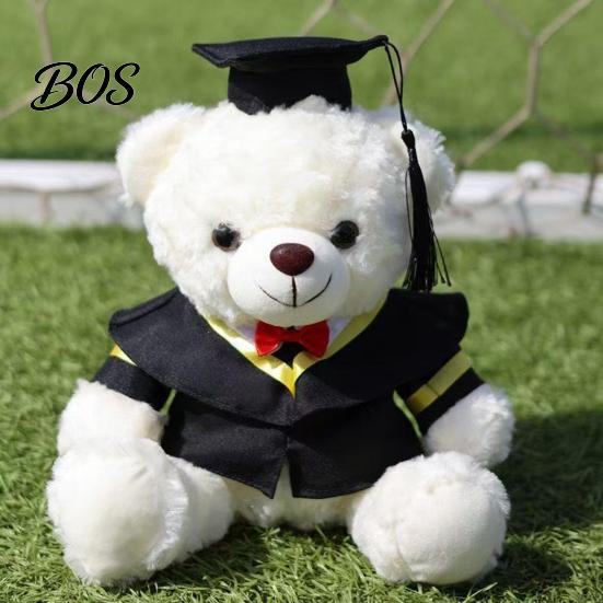 Luxury Gift Packaging Bear Personalized Graduation Gifts 2026 for Her, Cute Teddy with Embroidered Gown Award And Cap, Soft Plush Mascot College High