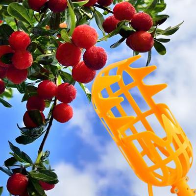 Fruit Picker Tool Fruit Harvesting Basket with Teeth Light-weight Fruit Picking Tool from Ground for Loquat Plum Bayberry Peach