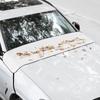 Copertura Parabrezza Auto Universale M/L Foglie Ghiaccio Neve Rete Protezione Tenda Parasole Canale Pioggia Tergicristallo Copertura Polvere