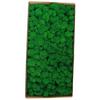 Preserved Moss Gardenning Art Wall Decor Moss Bulk Micro Landscape Decorative Props For Lining Baskets Covering Window Boxes