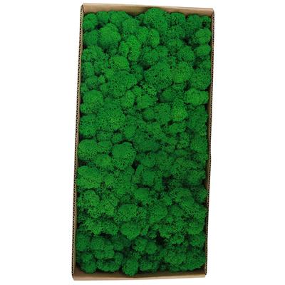 Musgo Preservado Arte de Jardinagem Decoração de Parede Musgo a Granel Micro Paisagem Adereços Decorativos Para Forrar Cestos Cobrir Floreiras