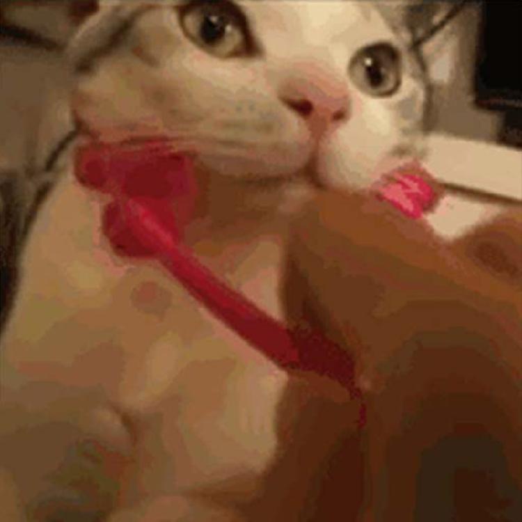 Face Massager Roller for Cat Silicone Massager Roller with Non-slip Grip