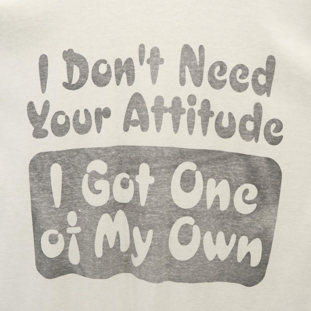 FRUIT OF THE LOOM BEST 90s Old Short sleeve T-shirt XL Single stitch Men's Used