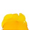 Peinture - Jacquard - Pinata Color - 0.5oz - Jaune doré - Mixte