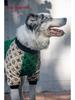 Large Dog Hoodie: Warm Patchwork for Autumn/Winter - Fits Samoyed, Border Collie, Poodle, Teddy, Puppy, Cat