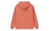 Li Ning Sports Fashion Collection Sweatshirts Unisex Brick Red Hooded Thickened Regular AWDRD42-11