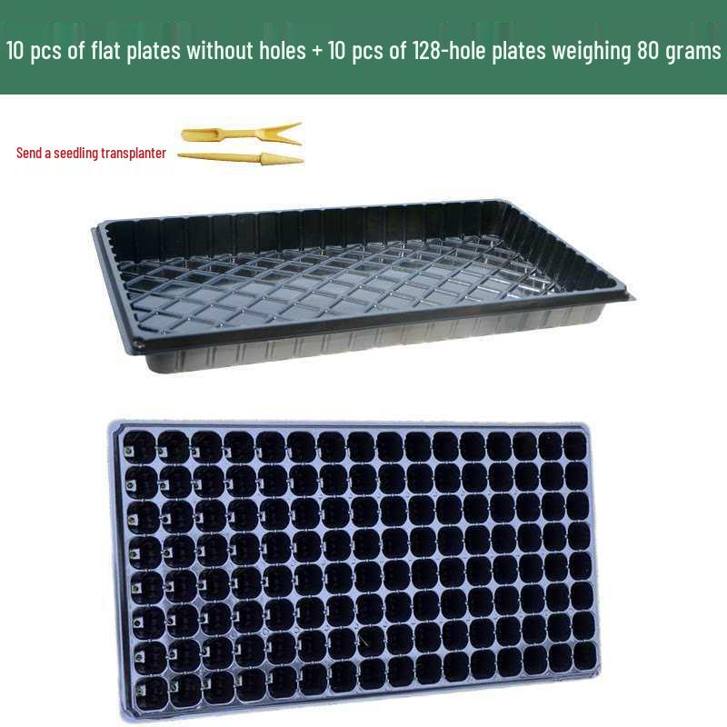 Thickened Plastic Succulent Seedling Tray for Cultivation & Cutting