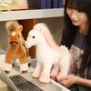 Cute Simulation Pony Doll Plush Toy Pony Doll Year Of The Horse Mascot Boy Soothing Rag Doll