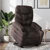 VidaXL Reclining Armchair, Relaxation Chair with Adjustable Backrest and Footrest, Living Room Lounge Seat, 3204601