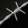 Haisidick Barbed Wire Security Fence