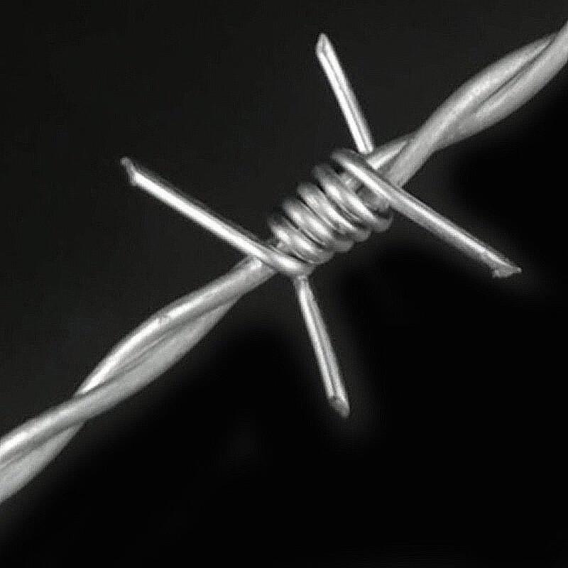 Haisidick Barbed Wire Security Fence