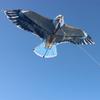 1.6/1.8M Giant Eagle Kite With 100M Kite String Flying Bird Kites Outdoor Fun Sports Garden Toys Bird Repelling Kite