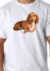 Dachshund Sausage Dog T Shirt Dogs Canine Animal Pets Print Tshirt Oneck Cotton Tees Tops Streetwear Unisexs Clothing