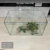 Coperchio per Acquario in Acrilico, Rete Anti-Salto, Tagliabile Fai-da-Te, Varie Misure, con Staffe 30x17cm
