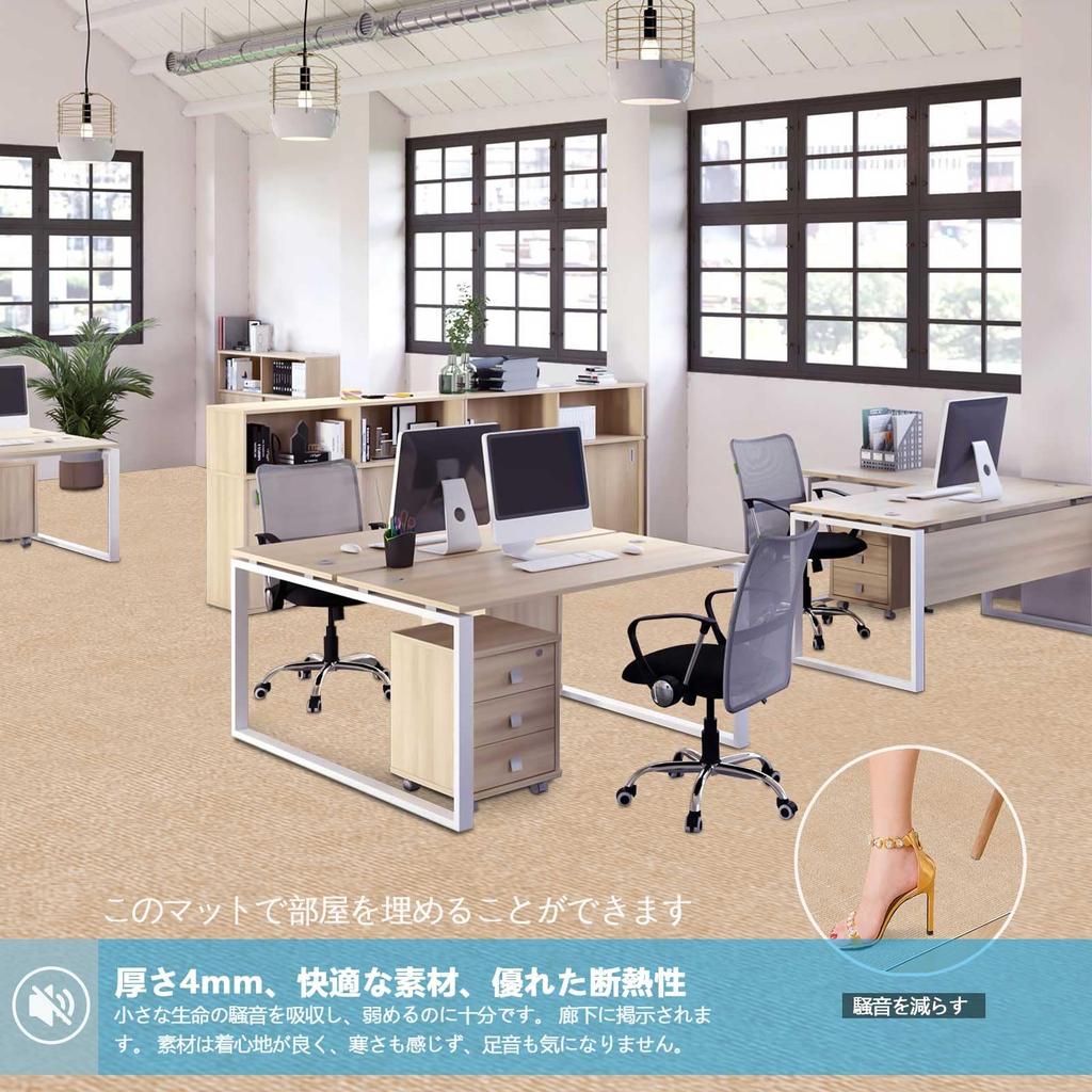 [Amazon Exclusive Brand] HAODEMI Hallway Rug, Carpet Rug, Kitchen Rug, Long, 300x60cm, Pet-Friendly, Flooring, Non-Slip, Reduces Leg and Back Pain, St