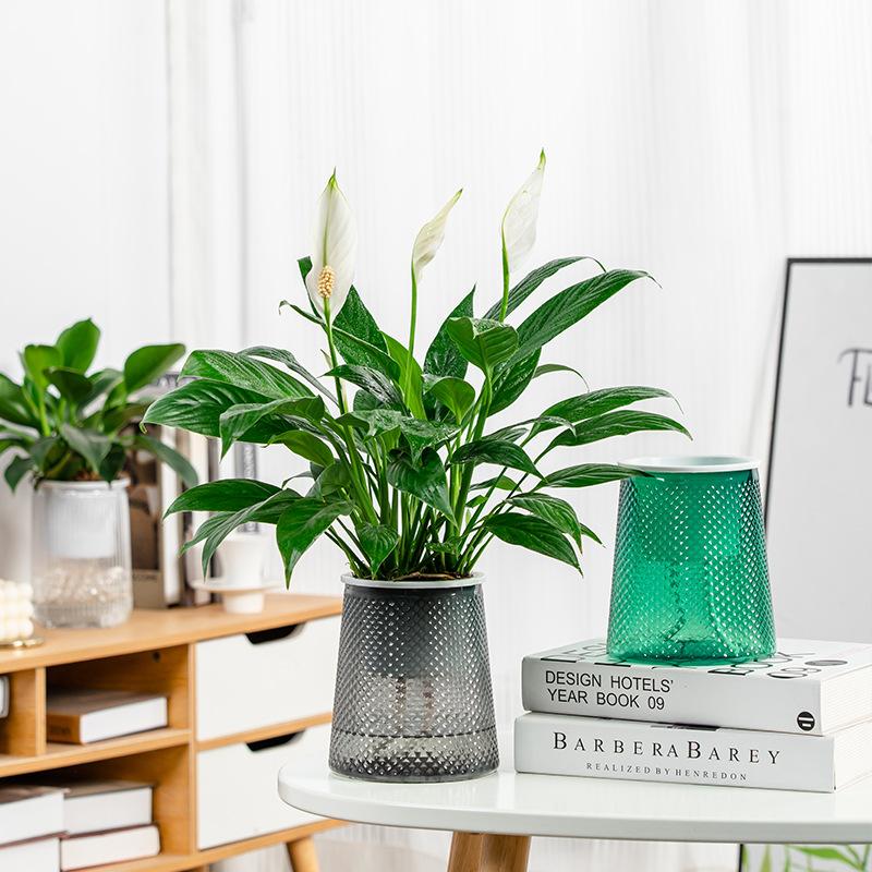 Self Watering Plant Pot Transparent Plastic Flower Pot Double-layer Automatic Lazy Potted Flower Pot Hydroponic Flowerpot