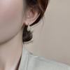 Elegant Zirconia Water Drop Copper Earrings for Women - Versatile, Fashionable, and High-End Feel.