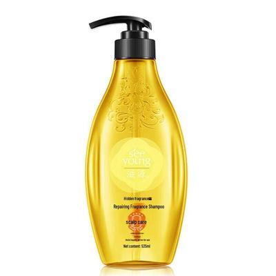 Shampoos & Haarspülung