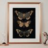 Vintage Dark Academia Moths Victorian Gothic Insect Illustration Art Posters Canvas Painting Wall Prints Picture Room Home Decor