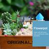Wood Succulent Planter Cactus Bonsai Micro Landscape Flower Pots Plant Pot Decor