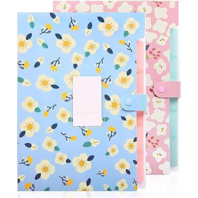 Corslet Certificate Expanding File Folders for Documents Large Size A4 Paper Holder Organizer School Office Home Multico