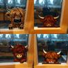 Funny Peeping Highlands Cow Window Corner Decors Home Decors for Outdoor Indoor Animal Art Decors for Shelf Mantel