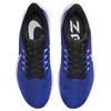Nike Air Zoom Pegasus 39 Racer Blue Sneakers DH4071-400