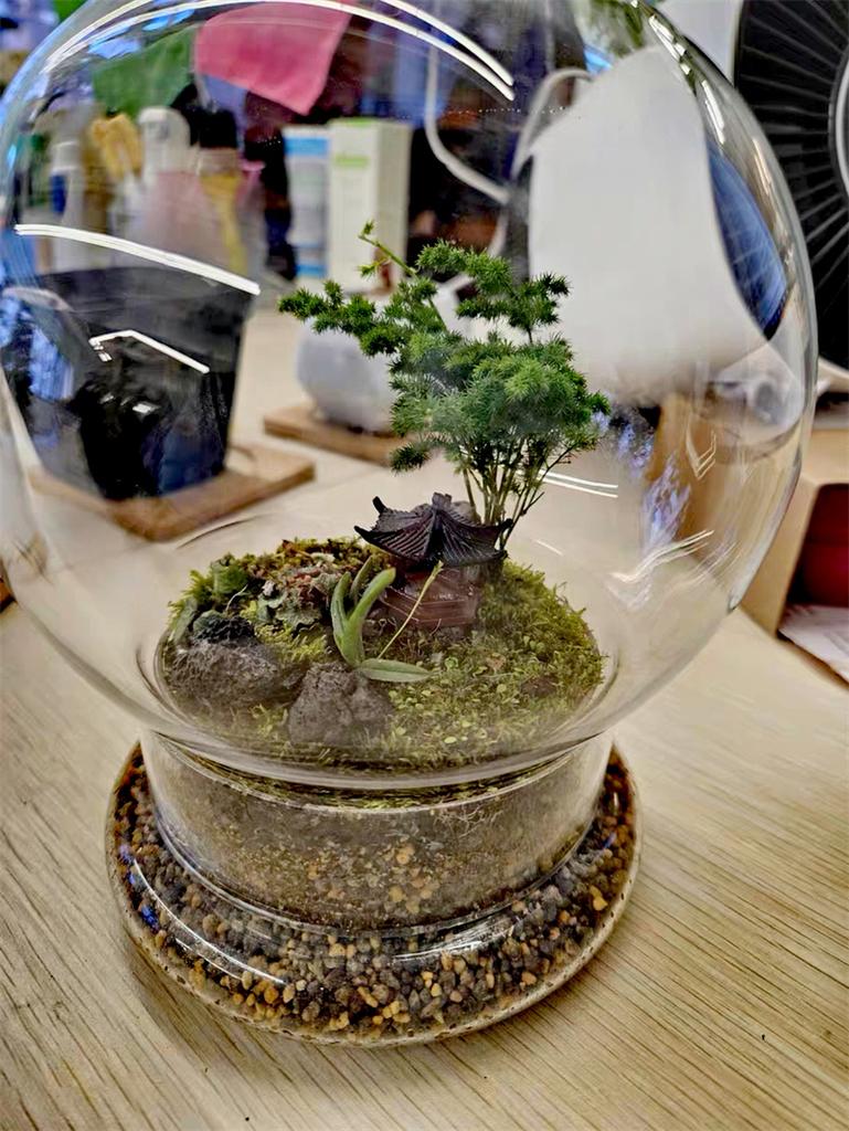 Split type Spherical Micro Landscape Vase Containers Desktop Glass Vase Green Moss Bansai Landscape Glass Terrarium Home Decor