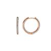 Luxenter and 18k Gold Plated Earrings - Jasoy