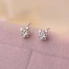 Star Earrings Are Cute  Fresh  Fashionable and Versatile  Niche Ear Piercing Ear Decorations