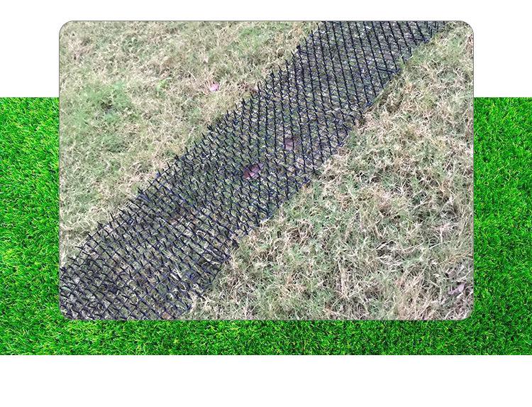 Pet Spike Mat: Cat & Dog Deterrent for Gardens - Protects Vegetables & Flower Beds