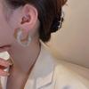 Premium Light Luxury Circle Earrings Metal Super Flash Earrings Niche Design Cold Wind Earrings Women