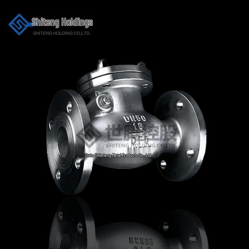 304 Stainless Steel 316L High-Pressure Flanged Swing Check Valve H44W/H for Steam
