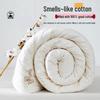 Muji Class A Antibacterial 100% Cotton Quilt