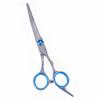 Stainless Steel Barber & Hairdressing Scissors Set: Flat Tooth & Thinning Options